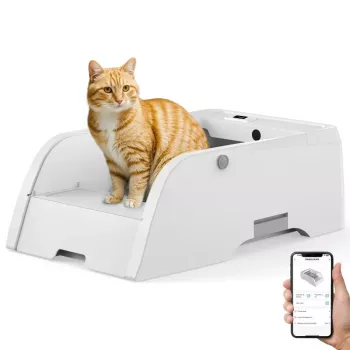 Self-Cleaning Cat Litter Box Guide: Less Odor, Less Scooping